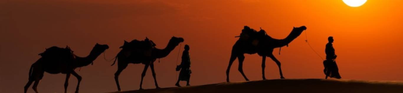 Travel Agency in Rajasthan